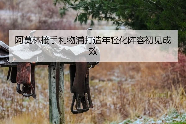 a-mo-lin-jie-shou-li-wu-pu-da-zao-nian-qing-hua-zhen-rong-chu-jian-cheng-xiao-2-631.jpg